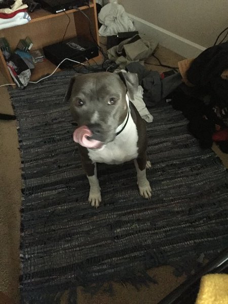 image.jpg