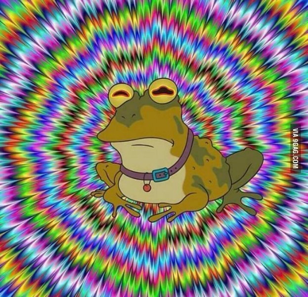 image.jpg