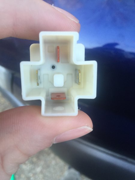 image.jpg
