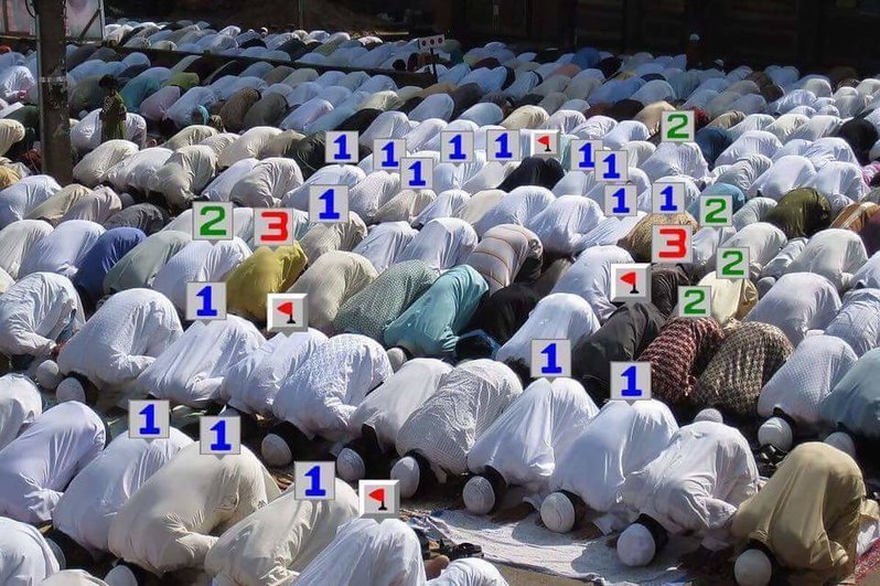 image.jpg