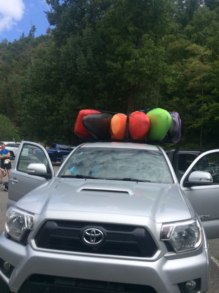 image.jpg
