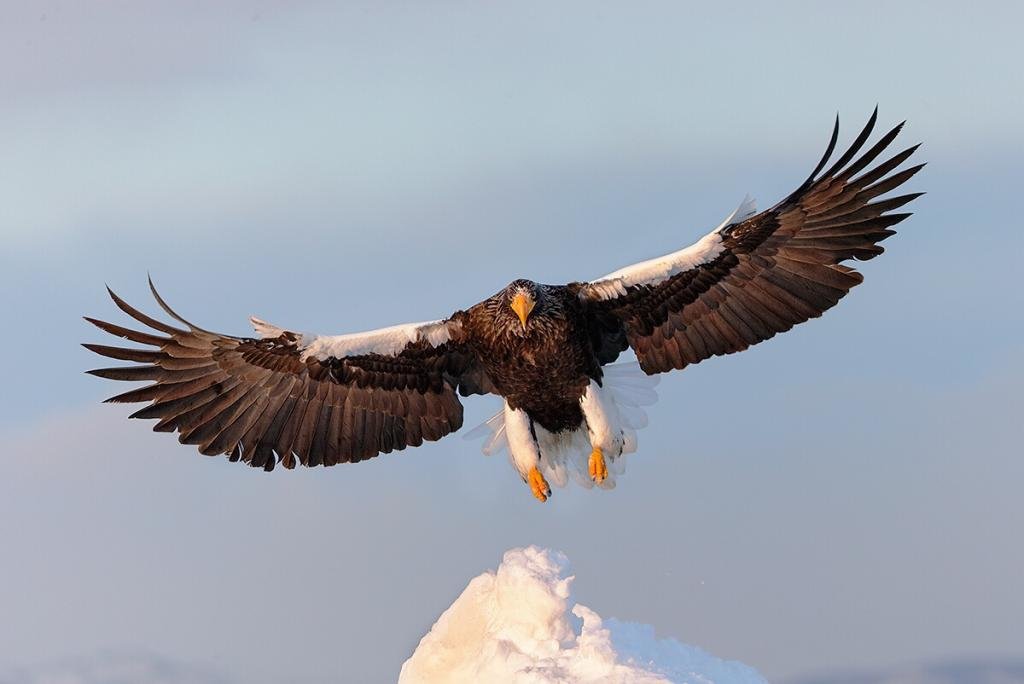 image.jpg1_6_cdf7cc367ab2d5b55cc3c9b35522ebcdbd5aec68.jpg
