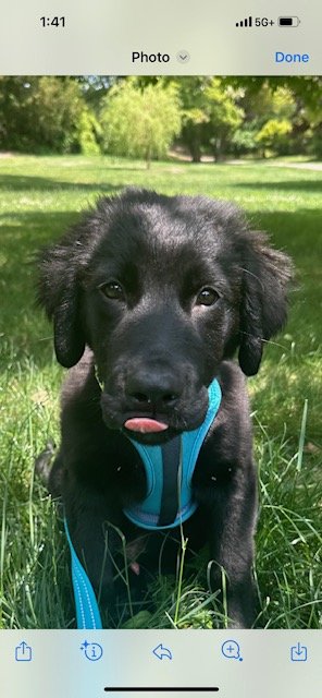 image0 (2).jpg