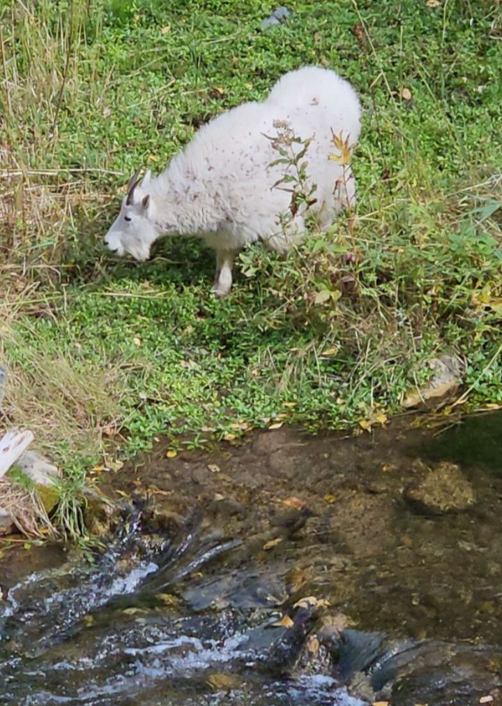 image000000(1).png
