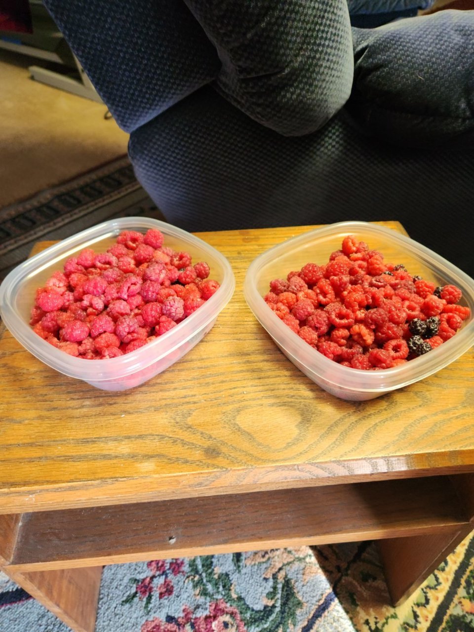image000000(17).jpg