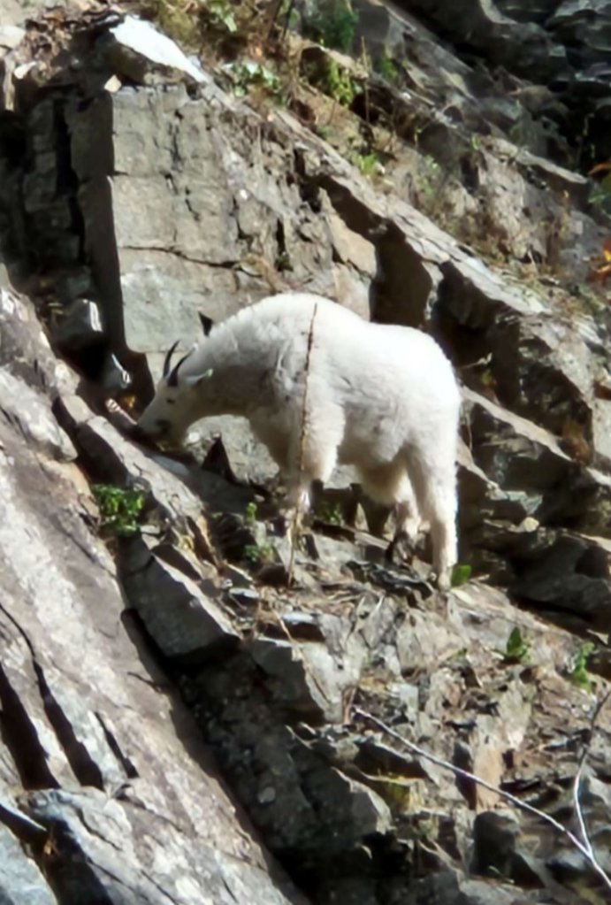 image000000(2).png