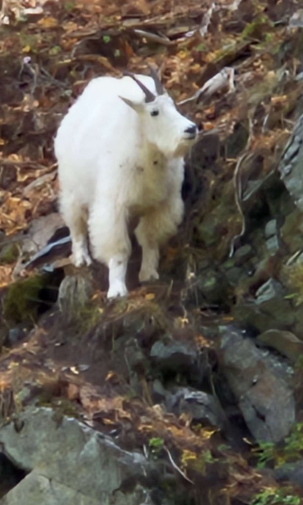 image000000(3).png
