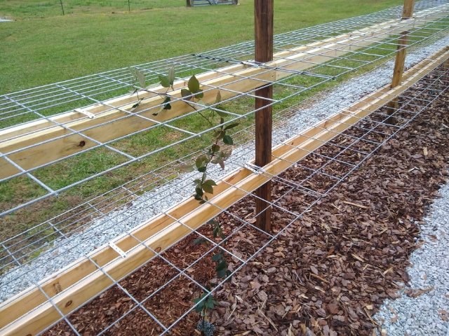 image000000 (4).jpg
