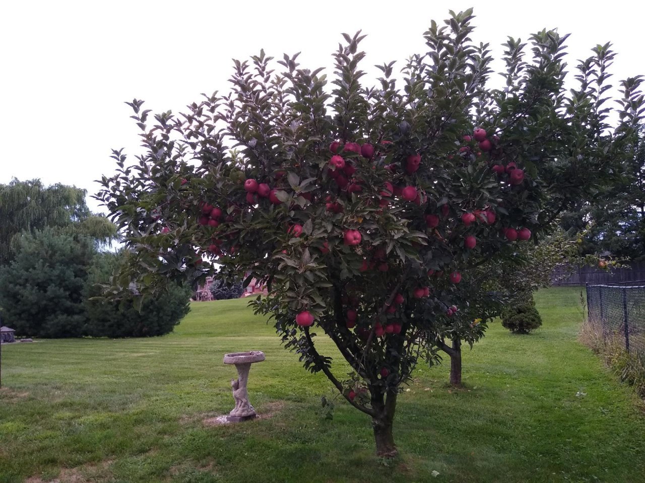image000000.jpg