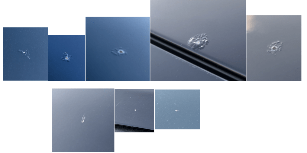 image004.png