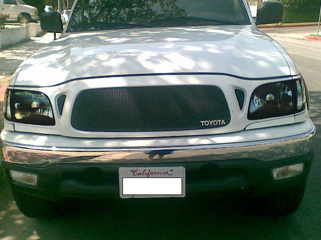 Image034tint.jpg