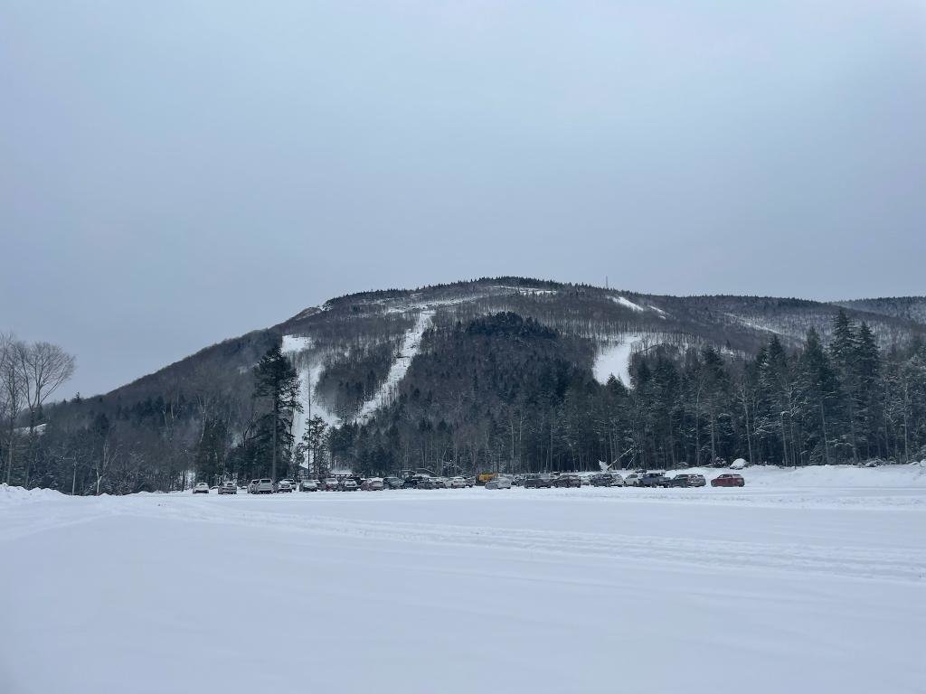 image1 (2).jpg