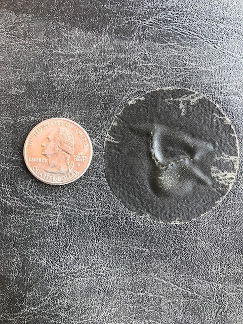 image1.jpg