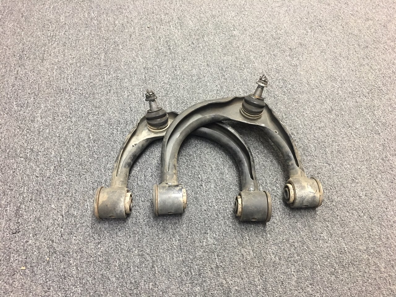 image1.jpg