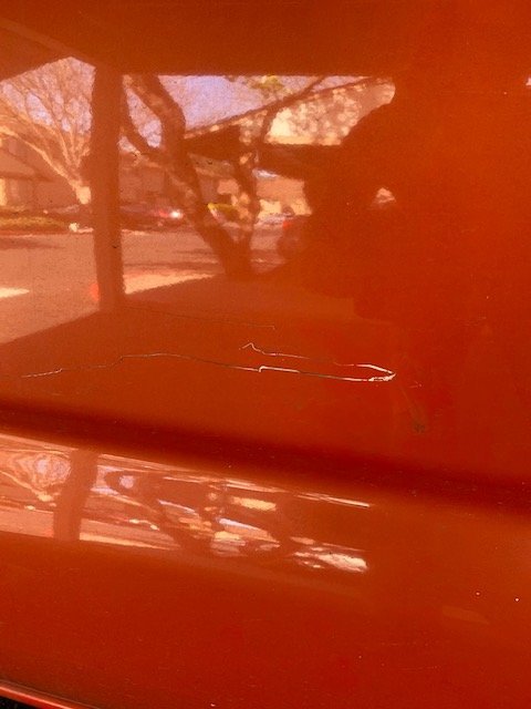 image1.jpg