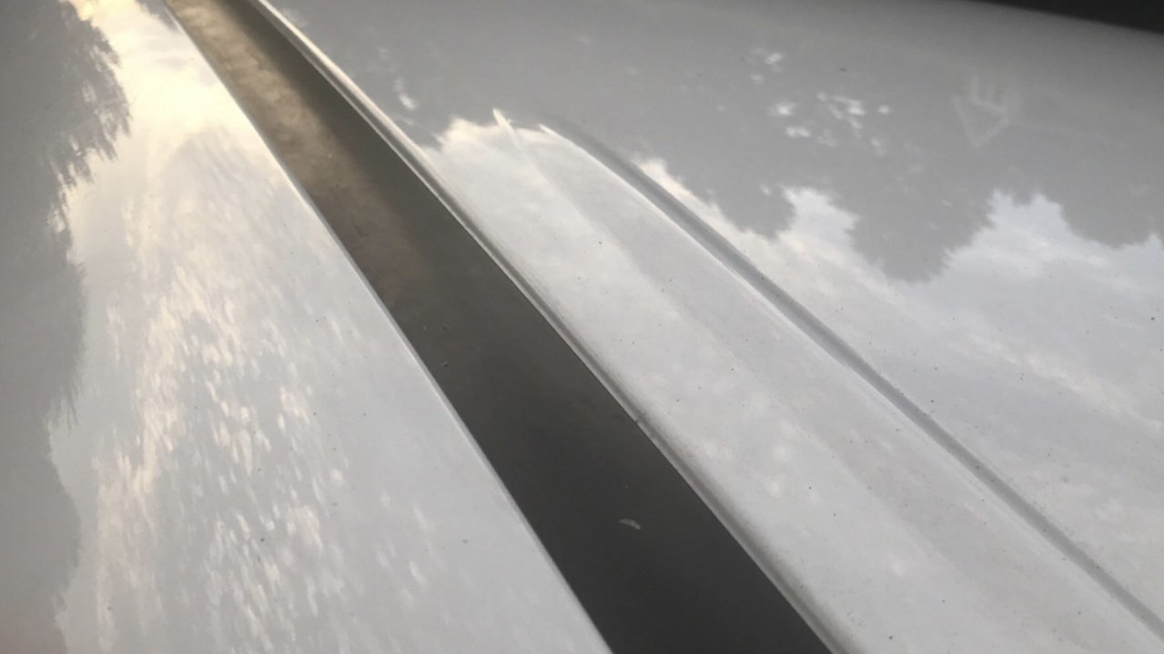 image1.jpg