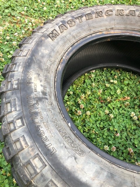 image10.jpg