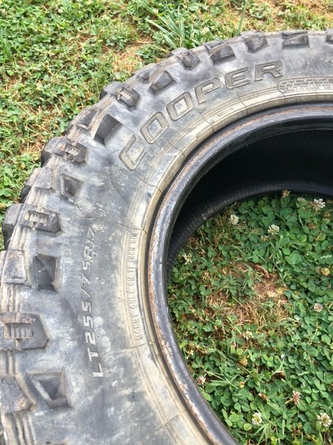 image11.jpg