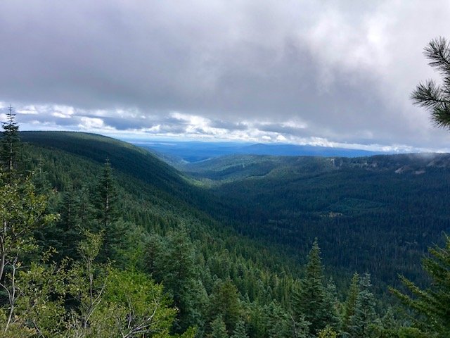 image5.jpg