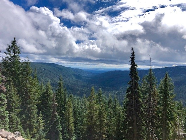 image6.jpg
