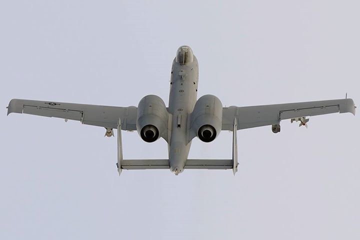 image7.jpg