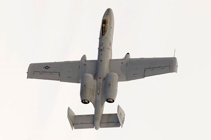 image8.jpg