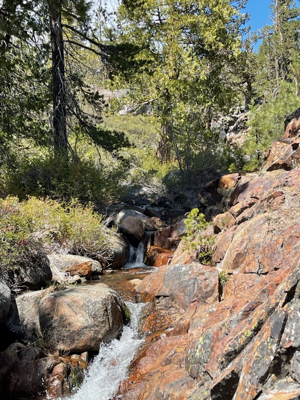 image8.jpg