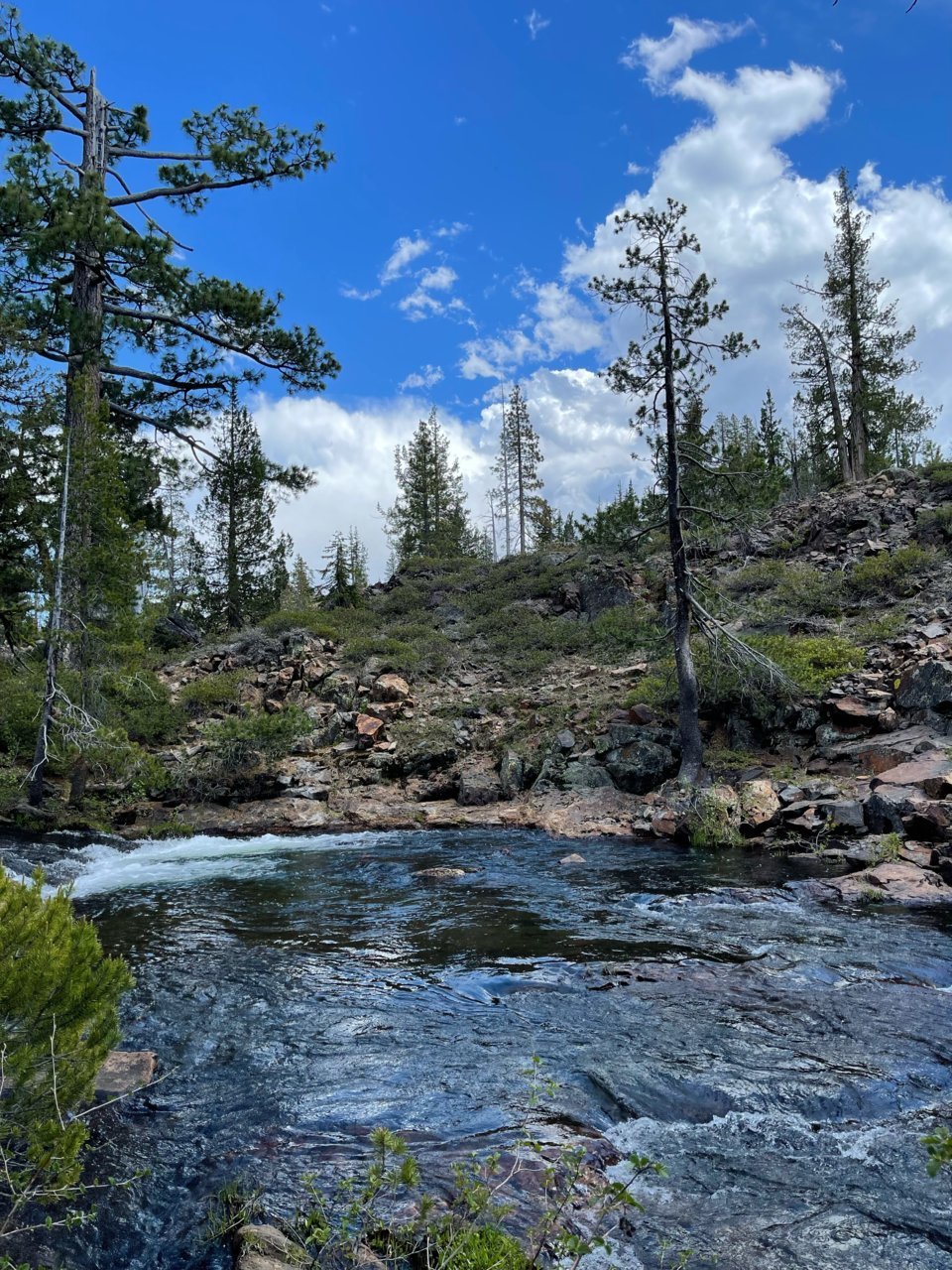 image9.jpg