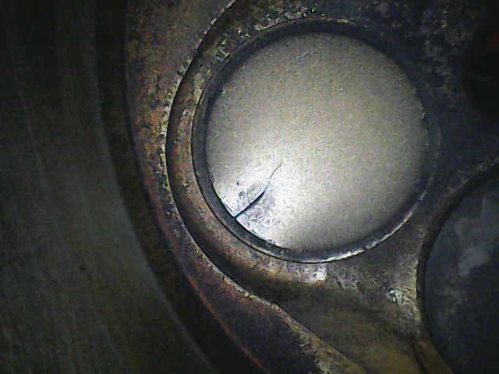 Image_2024-03-02 12_52_59_317.png