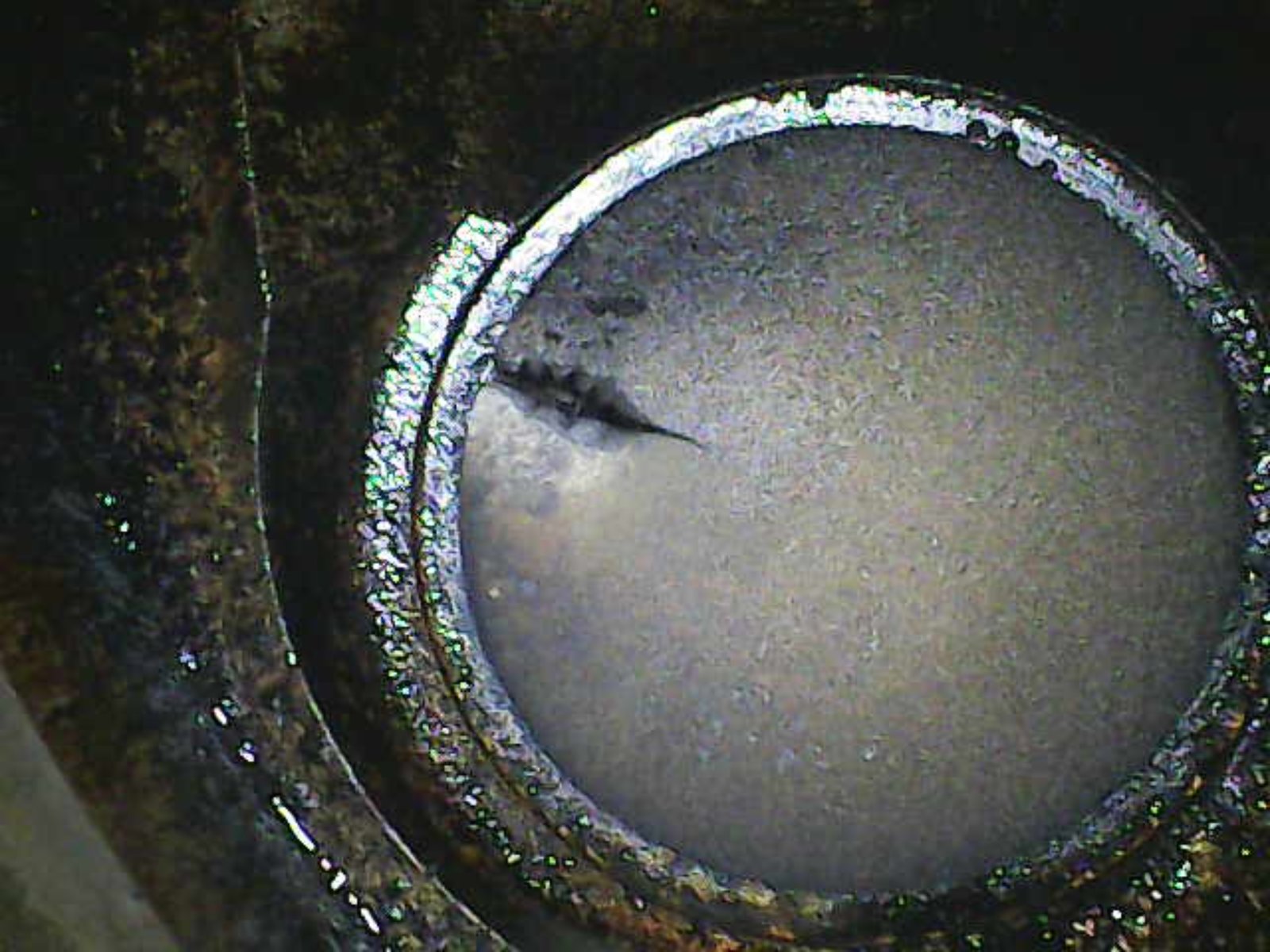 Image_2024-03-02 13_30_09_248.png