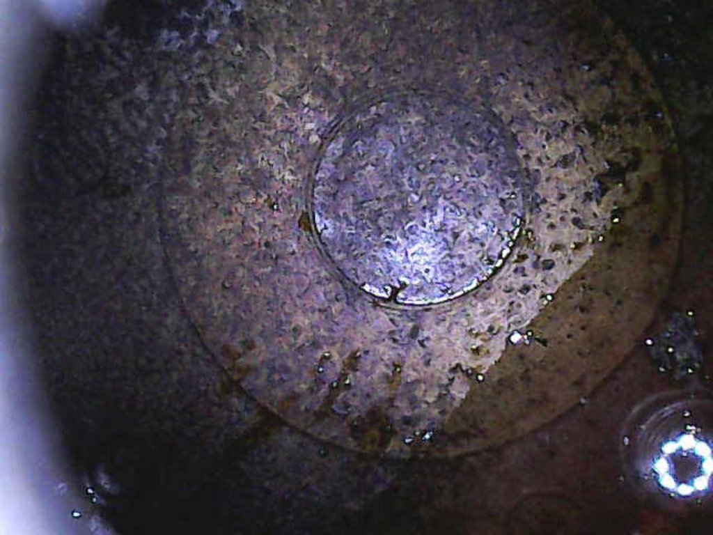Image_2025-05-02 16_48_24_464.png