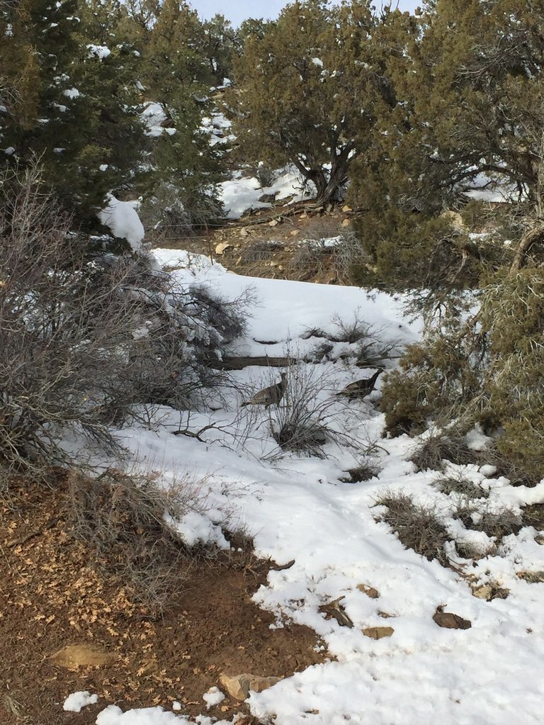 image_212_ddbea640426e6a61520b73b69644e8f9b42d7359.jpg