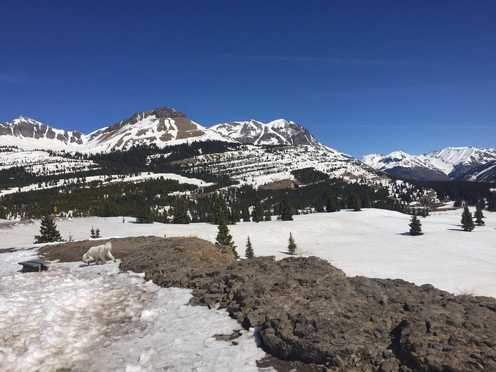 image_219_d2d3339836f5ac5ef06b67e5a9b562af2aade2be.jpg
