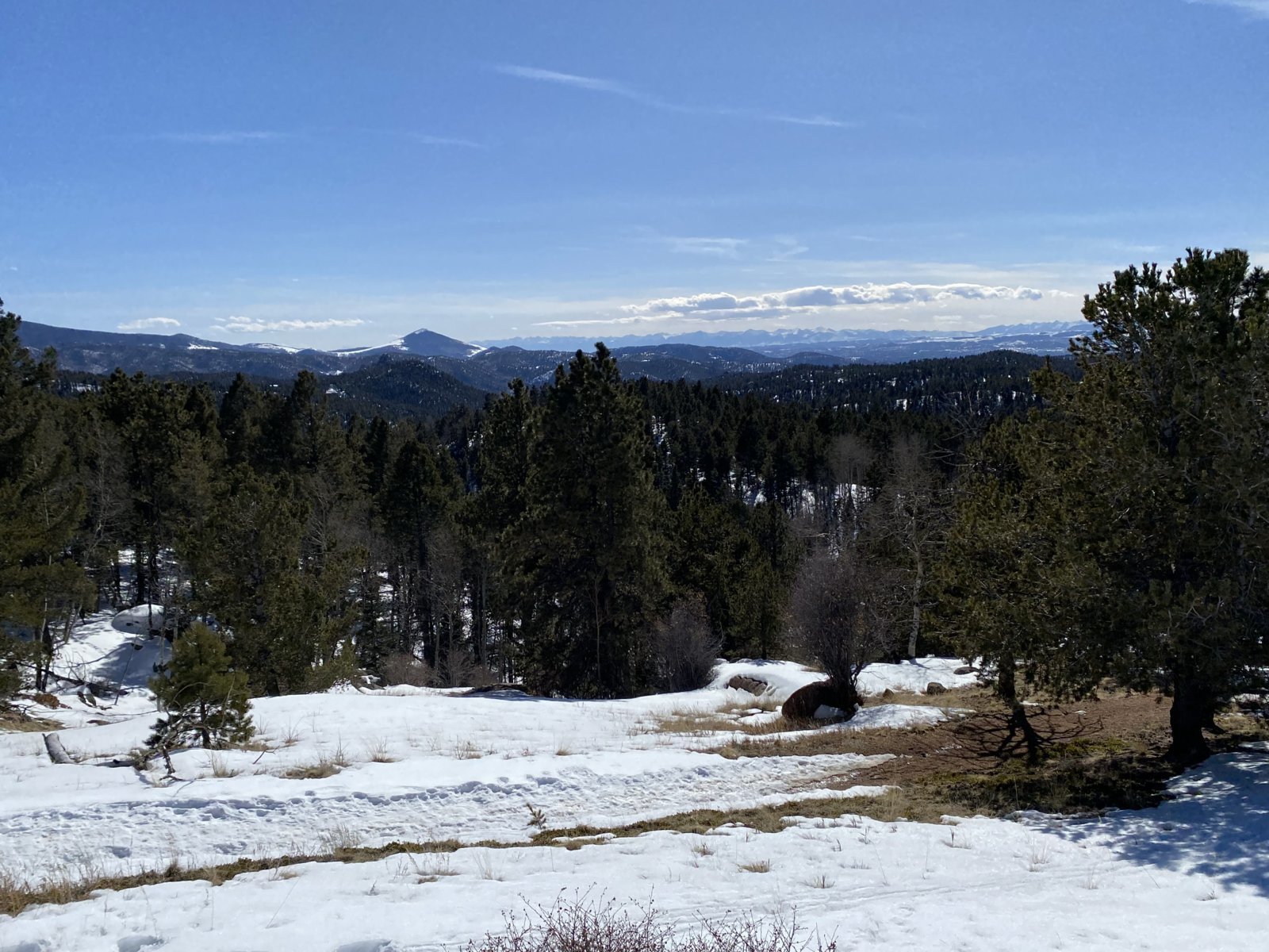 image_50445057.jpg