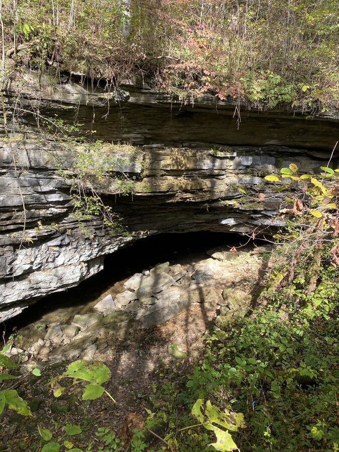 image_5221.jpg