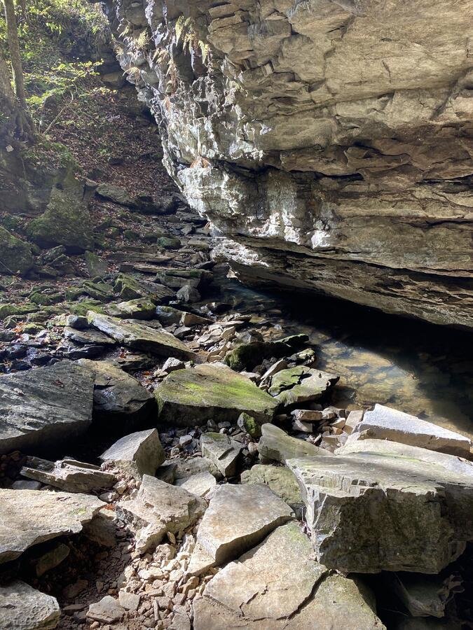 image_5234.jpg
