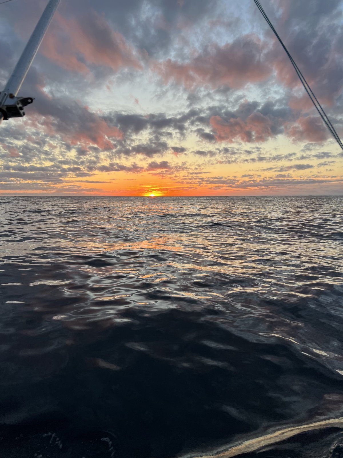 image_67222529.jpg