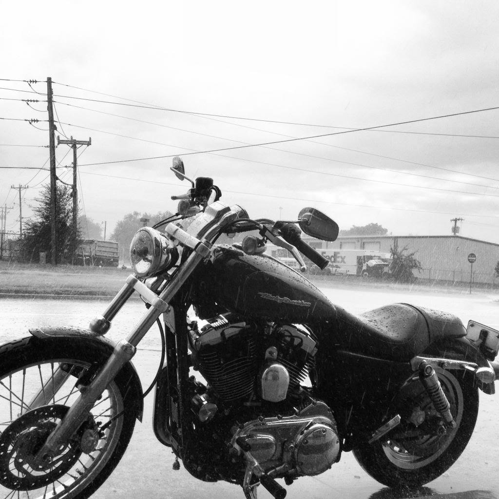 image_zpsfd50cc9f_796b6b891ea82e5fd9879ed96b67e8c8070fd420.jpg