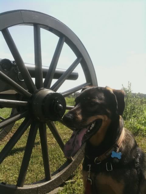 imagejpeg_2_3_790b1a9a68e69e30ac7142d4ce3b2524d701f953.jpg