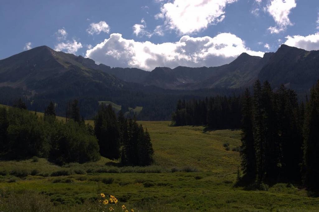 imagejpg4_zpsc2b5e366_d57cfee9419bf67801881d4ed84b47f85e7a3221.jpg