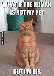 images.jpeg-16.jpg
