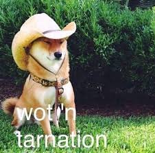 images.jpg