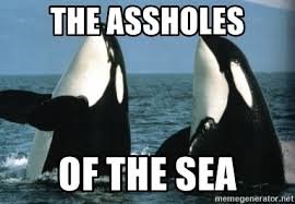 images.jpg