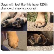 images.jpg