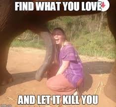 images.jpg