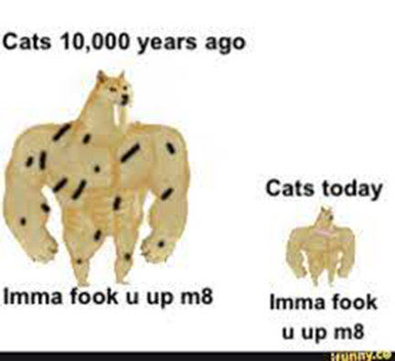 images.jpg