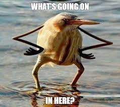 images.jpg
