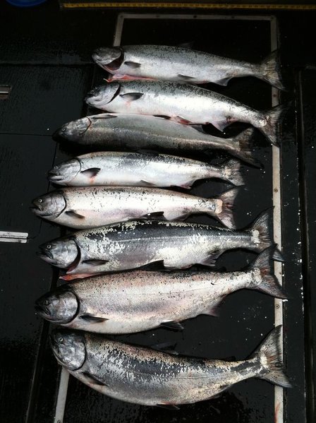 ImageUploadedByTapatalk1306071050.119509.jpg