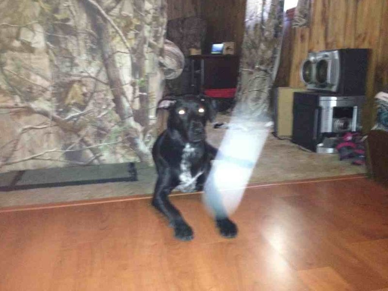 ImageUploadedByTapatalk1337915352.065641.jpg