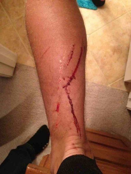 ImageUploadedByTapatalk1339168134.879253.jpg